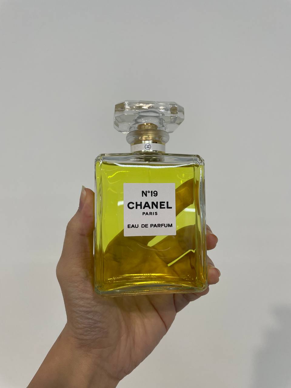CHANEL N19 EDP 100ML