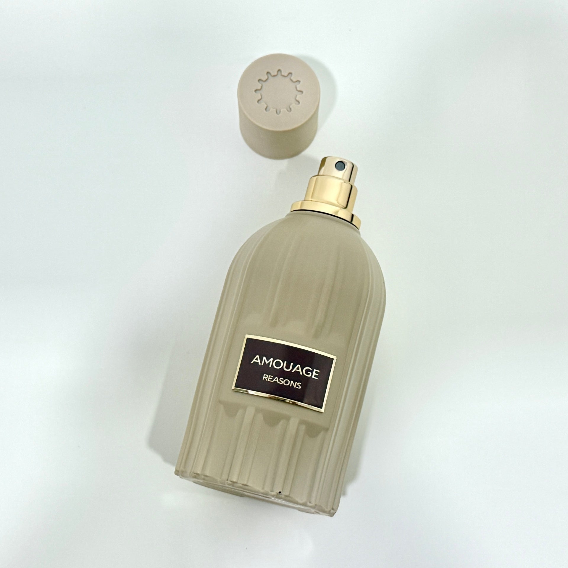 AMOUAGE REASONS ESSENCE DE PARFUM EDP 100ML