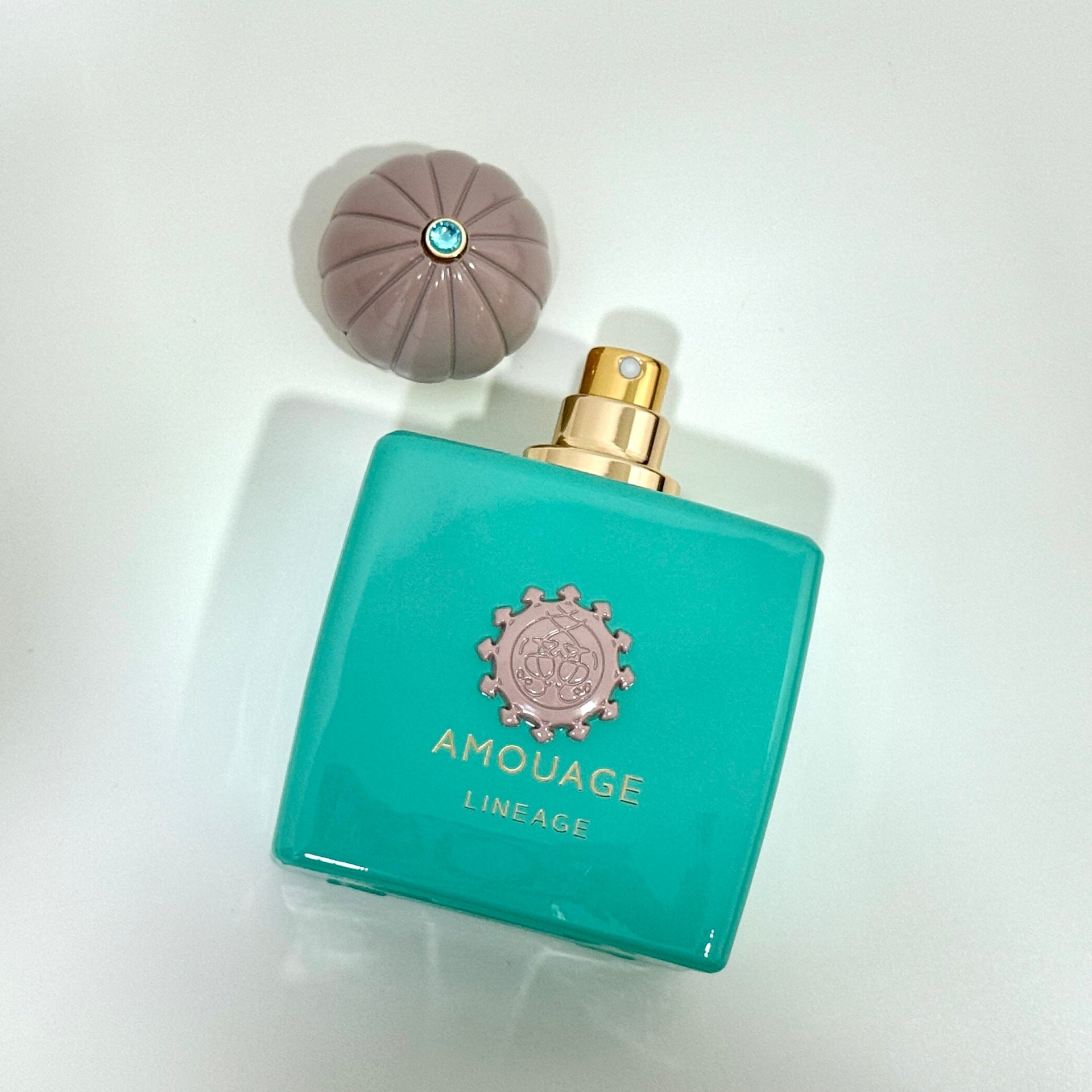 AMOUAGE LINEAGE EDP 100ML