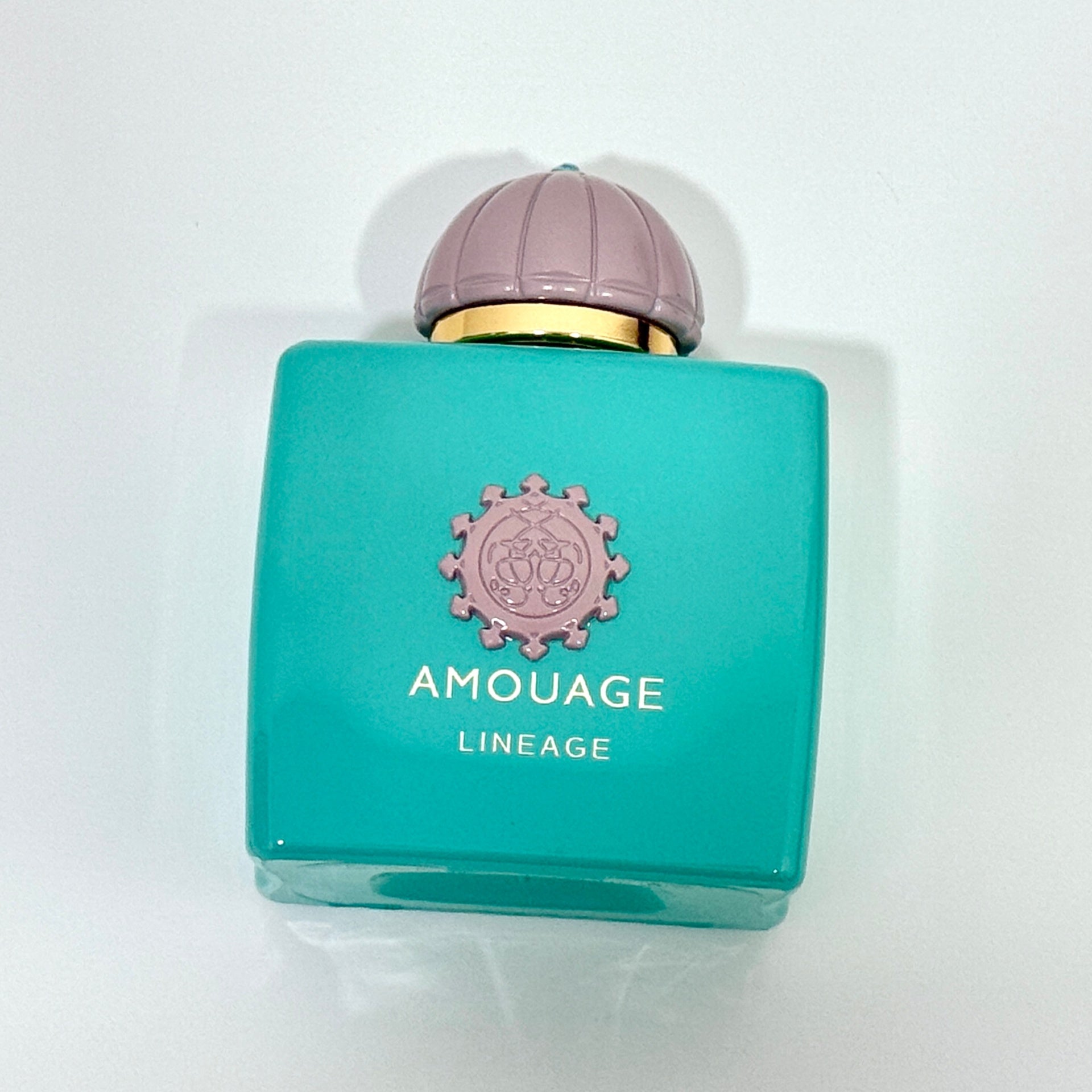 AMOUAGE LINEAGE EDP 100ML