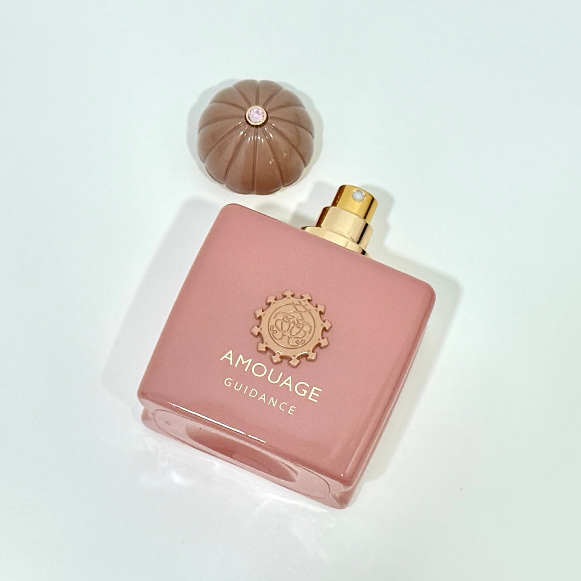 AMOUAGE GUIDANCE EDP 100ML
