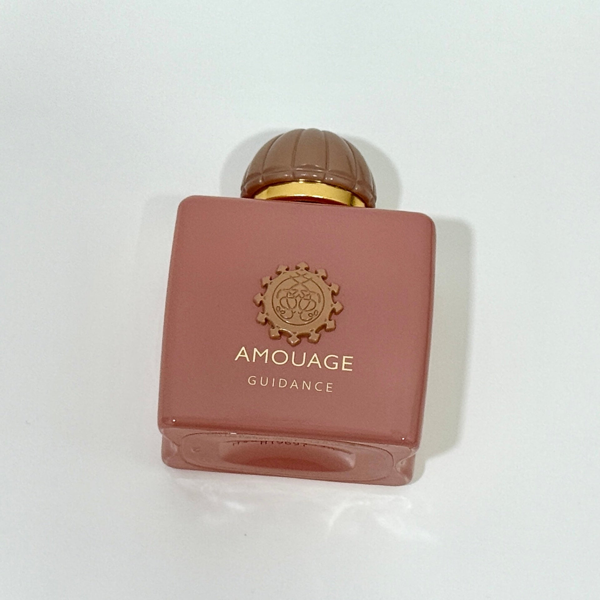 AMOUAGE GUIDANCE EDP 100ML
